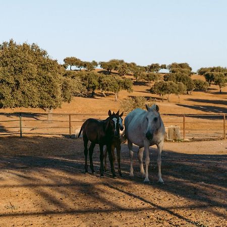 Herdade Da Caniceira Ervedal Bagian luar foto