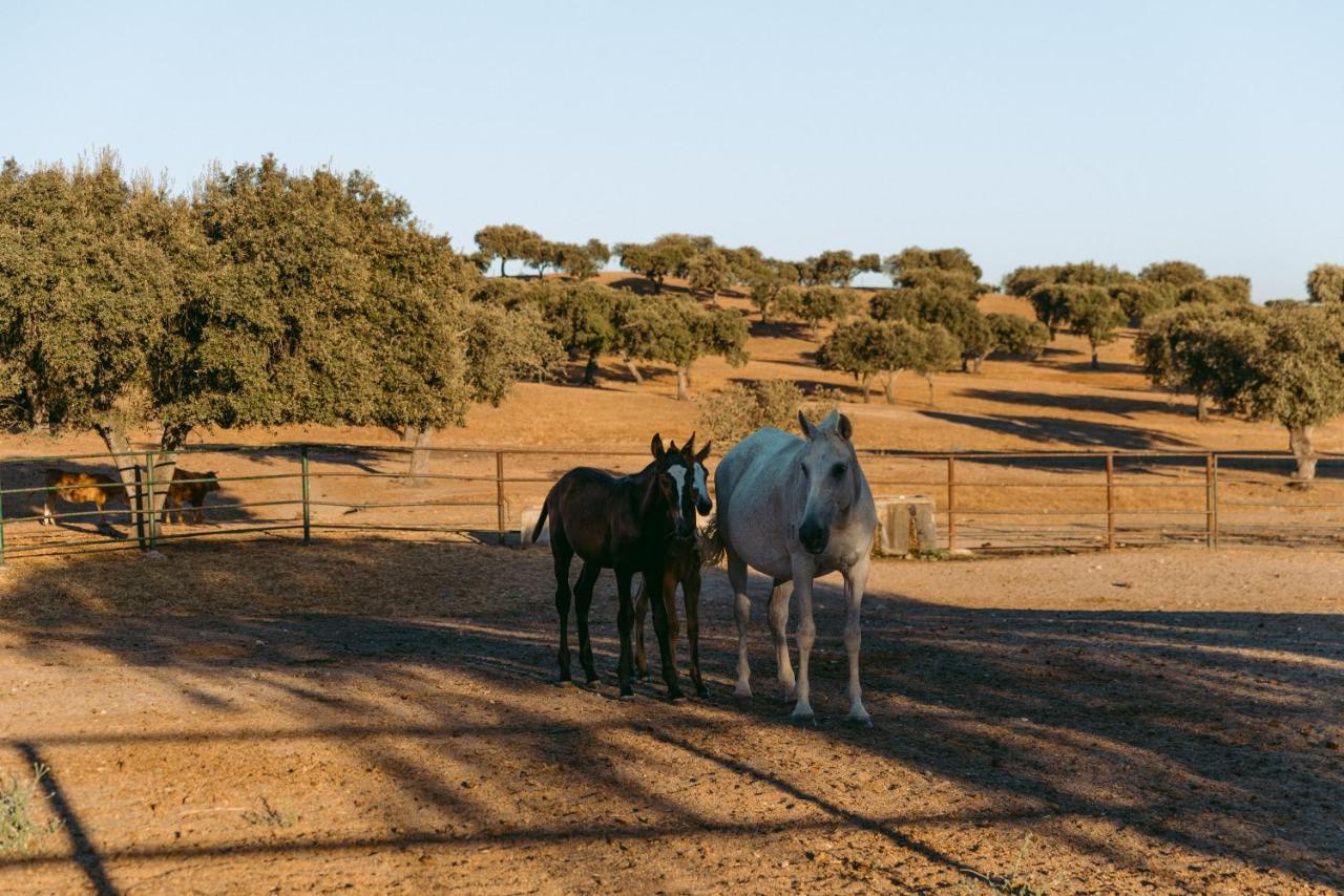 Herdade Da Caniceira Ervedal Bagian luar foto